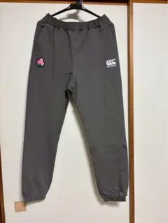 Item thumbnail for item 64daf917-f3f9-41e0-bf86-f0e30bedec90