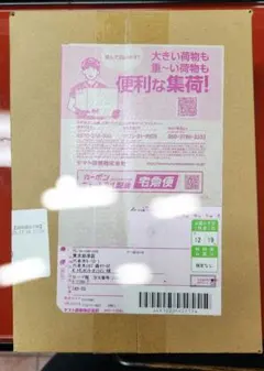 ポケセン産　スタートデッキ100 バトルコレクション2ボックス入り