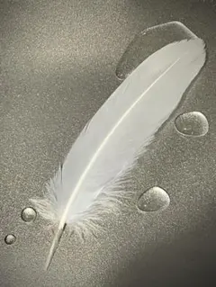 Item thumbnail for item 68e54c31-bc0f-414f-b598-7e2429632a76