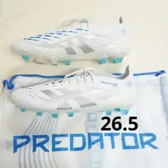 Item thumbnail for item 6bbfa2ac-d36a-41b3-a9ce-7c4b38910d97