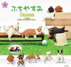 コンプ ふちやすみ 色々わんこ 全５種 セット