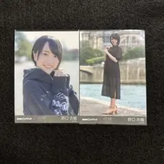 Item thumbnail for item f50171a5-65f1-49fd-9c60-76bcf45df246