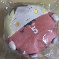 ハイキュー　くじメイト　ふわコロりん　ぬいくじ　C賞　孤爪研磨　ぬいぐるみ