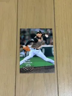 Item thumbnail for item e86268a5-961c-408a-958f-68e2d4e2e054