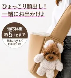 Item thumbnail for item e29b4b4f-3c0b-42ae-a359-2199ff3012be