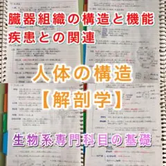 薬剤師国家試験、CBT、薬学部定期試験対策シリーズ【解剖学】まとめ