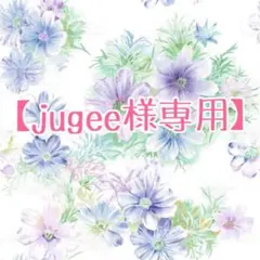 【jugee様専用】✤✤✤✤✤【苗木】 アメリカヅタ＊落葉つる性＊カラーリーフ＊