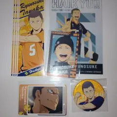 ハイキュー!! 田中龍之介 まとめ売り