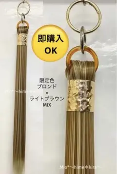 即購入OK⭐︎ ポニーテールリング　Aランク限定色ボリュームアップのサムネイル