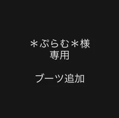 ＊ぷらむ＊様 専用