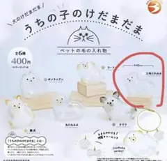 うちの子のけだまだま 三角たれみみ ガチャ4個セット