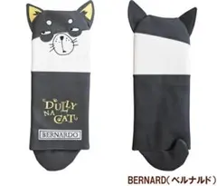 Item thumbnail for item 0fd92d69-517d-4a82-b49a-adbd7ae5065a