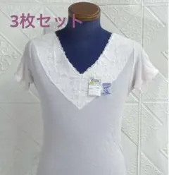 Item thumbnail for item d669b5e2-6386-4803-ba95-515ea96374f1