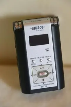 【リーくん様】　Line 6 Echo Park ディレイ（動作確認済・名機） Line 6 Echo Park ディレイ（動作確認済・名機） - メルカリ