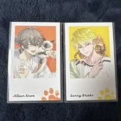 サニー アルバーン チェキ風カード