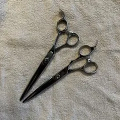 Item thumbnail for item ffcfce02-81af-4b64-aba9-fd5834883628