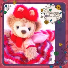 ☆ チシャネコ ドレス型紙&作り方　ダッフィー・シェリーメイ　ポーチDP27