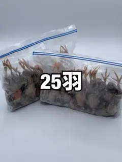 冷凍ウズラ(処理済み)30羽 8500円 送料込み - メルカリ