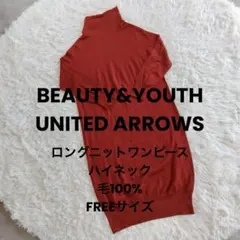 BEAUTY&YOUTH UNITED ARROWS ロングニット ハイネック