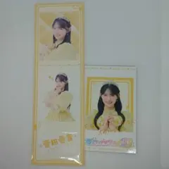 わんわん様 リクエスト 2点 まとめ商品