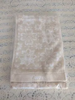 Item thumbnail for item 3fdc2ffd-7f4a-4e4e-b2d5-89075d38667c