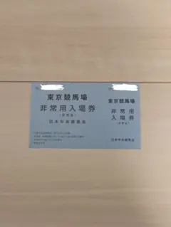【非売品】東京競馬場非常用入場券