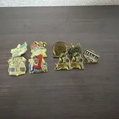 千葉ロッテマリーンズ ピンバッジ セット