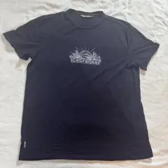 icebreaker 150メリノウール100% Tシャツ