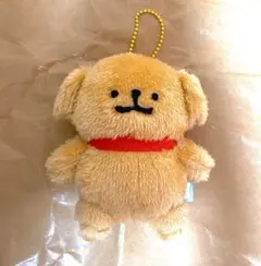 2026年最新】マルチーズぬいぐるみの人気アイテム - メルカリ