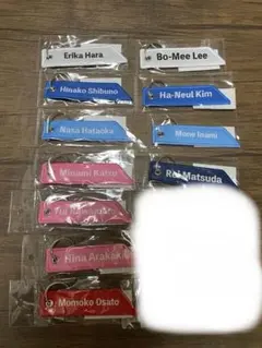 JLPGA女子ゴルフ選手名札キーホルダーセット11名 JLPGA女子ゴルフ選手名札キーホルダーセット11名 - メルカリ