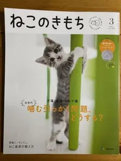 Item thumbnail for item 25faff0f-91ca-479b-b138-2a5477684359