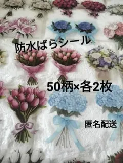 Item thumbnail for item 5c54bbf6-fead-458c-8adf-9b16810cce85