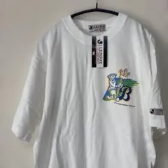 Item thumbnail for item a8026de6-55bc-409e-bc51-8984dc51256a