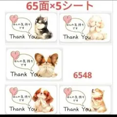 6548 サンキューシール