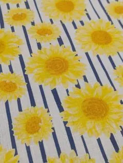 Item thumbnail for item efdaa95a-526e-4604-882d-5290ac58b30e