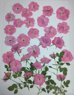 スワロー様 リクエスト 2点 まとめ商品