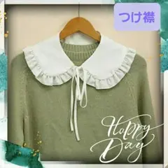 1点持っていると服のバリエーションが広がります❣️アンティークつけ襟　白 M