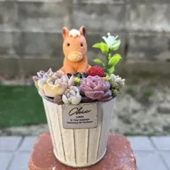 2026年最新】多肉 寄せ植え ブリキの人気アイテム - メルカリ