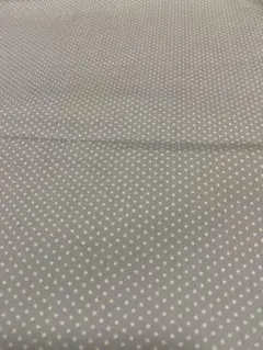 Item thumbnail for item 5f65b966-d95c-409b-967c-dca3c78468be