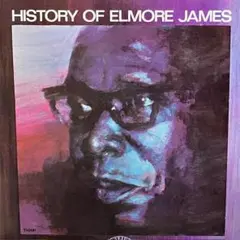 ブルース　HISTORY OF ELMORE JAMES 2枚組レコード