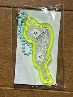 2026年最新】琵琶湖バレイの人気アイテム - メルカリ