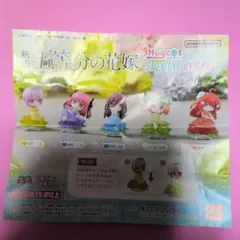 五等分の花嫁　映画　コンプ 5種セット