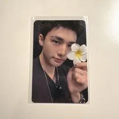 straykids スキズ ヒョンジン karama everline トレカ