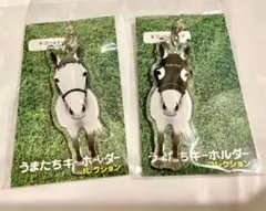 2025年最新】jra ゴールドシップの人気アイテム - メルカリ