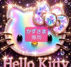 かずさま 専用