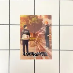 【即購入可】ハイキュー!!10周年記念展 入場特典 クリアカード 翔陽 飛雄