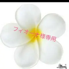 フィオーナ様専用　ミニチュア