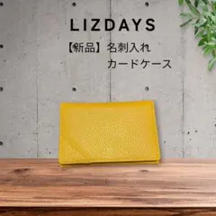 【新品】LIZDAYS　名刺入れ　カードケースのサムネイル