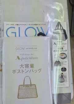 GLOW3月号付録 Aquascutum ボストンバッグ　アクアスキュータム