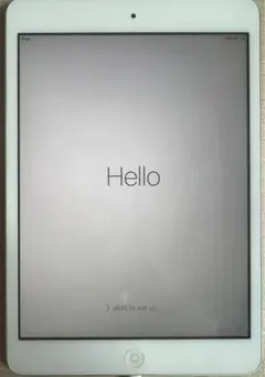 iPad mini 16GB WIFIモデル